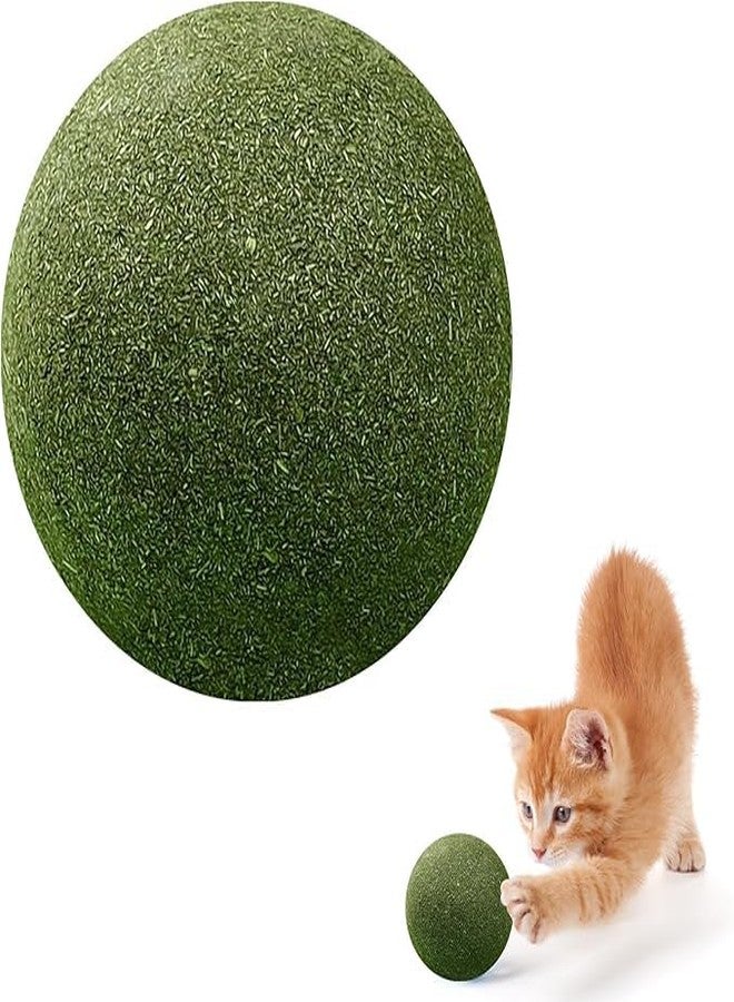 PARVY® Catnip Mint Ball for Cats Interactive Dental Chew Toy Natural Teeth Cleaning Rotating Mint Ball for Indoor Cats and Kittens (Pack of 2) - Image 1